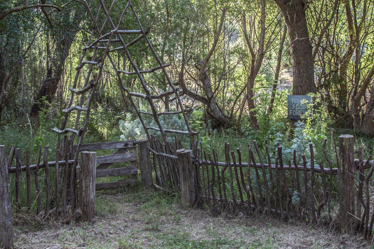 Tinui Food Forest Cottage Whareama المظهر الخارجي الصورة